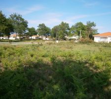 Vue de l'angle arrière