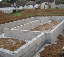 Vide sanitaire en cours...