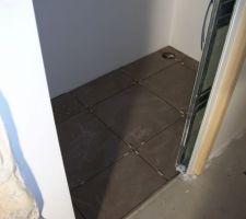 Carrelage taupe en 45*45 pour les toilettes