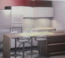 Ca y est c'est choisit ...