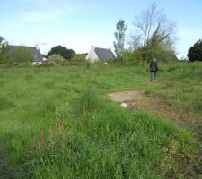 Notre terrain (la rue est juste derri&egrave;re nous)