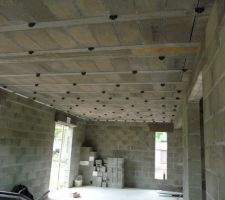 Fixation pour recevoir les suspens