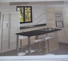 Cuisine définitive après quelques changements:façade bois lambrisé clair avec plan de travail ardoise,la hotte sera directement encastrée ds le retour de placo du plafond par souci d'esthetisme.