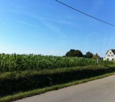 Le terrain dans son usage précédent!