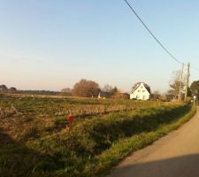 Notre parcelle d&eacute;limit&eacute;e nous permet de voir plus clair dans ce grand terrain!