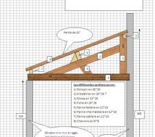 Plan de charpente pour un appenti