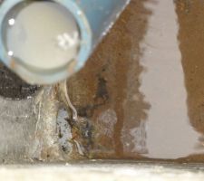 Détail évacuation de l'eau (sortie du bac dans un coin, et évacuation dans coin opposé)