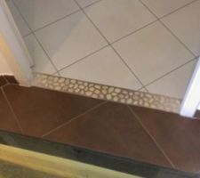Idée pour remplacer les seuils de porte de la salle de bain et des WC