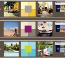 Choix de la peinture murale