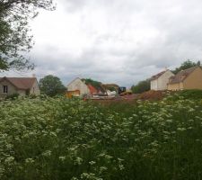 Vue du fond du jardin