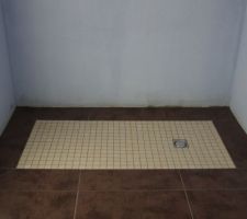 Salle d'eau parentale - bac de douche italienne