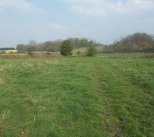 Un autre bout du terrain