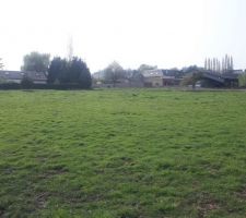 Tout au fond du terrain