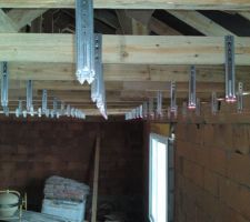 Les suspentes en gros plan