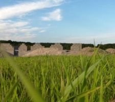 La fa&ccedil;ade arri&egrave;re a pris encore un peu de hauteur!