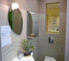 La fa&iuml;ence murale des toilettes du rez-de-chauss&eacute;e.