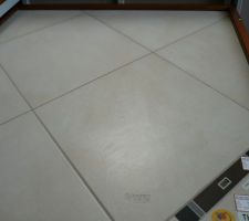 Et enfin le carrelage du sol de la maison!
