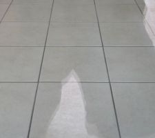 Vu du salon depuis la baie vitr&eacute;e : joint du carrelage fait le 24 mai.