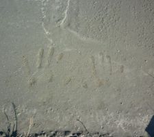 MOI POUR LA POSTERITE