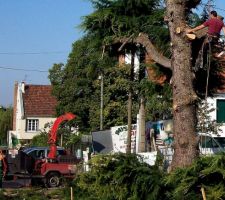 8 août 2011 ===> ELAGAGE avant ABATTAGE des 2 grands arbres situés dans le futur chemin d'accè