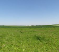 Vue de face du terrain.