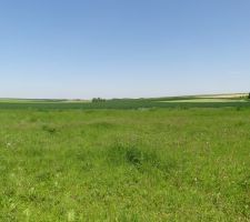 Vue de face du terrain.