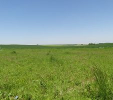 Vue de face du terrain.