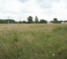 Photo du terrain avant construction