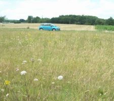 Vu du terrain avant construction