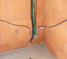 Les cables encinte et HDMI dans le salon :)
