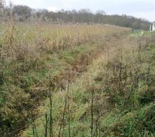 Vue du fond du terrain.
Foss&eacute; o&ugrave; se d&eacute;versent les EP.
20m de long.