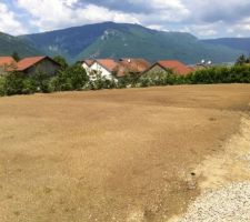 Ca y est on a planter toutes les graines, maintenant il ne reste plus qu'à arroser et à attendre patiemment