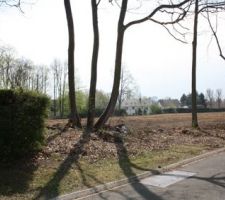 Le déboisement est terminé