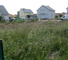 Le terrain de 620M2 d&eacute;frich&eacute;