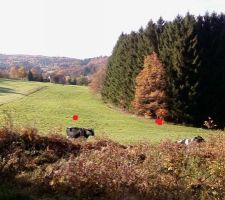 Les points rouges repr&eacute;sentent les bornes du terrain