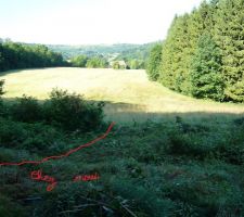 D&eacute;broussaillage