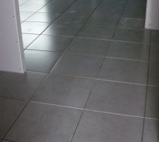 Entr&eacute;e   d&eacute;but du salon