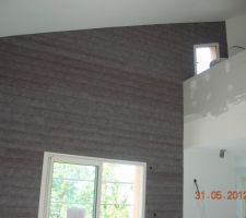 Lambris bois sur mur du salon