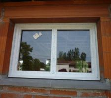 Fen&ecirc;tre de la cuisine