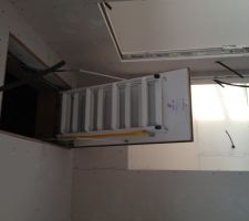 Installation de l'escatrappe