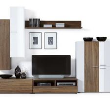 Idée meuble TV