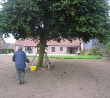 Papy semant la pelouse à l'arrière