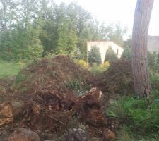 1er jour de d&eacute;broussaillage, souches et rochers