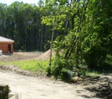 Vue du chemin d'entrée de la forêt