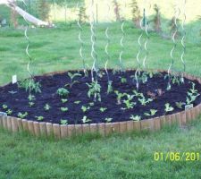 Jardinet à tout faire, des légumes en été, des fleurs au printemps