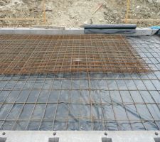 Détail des trellis ST20