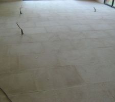 Dallage en pierre de MAGNY avec joints sable