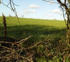 Vue face arriere du terrain