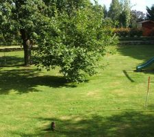 Achat de la 2eme parcelle de terrain