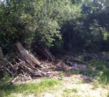 Va falloir bosser .....l'entr&eacute;e donnant en bord de chemin